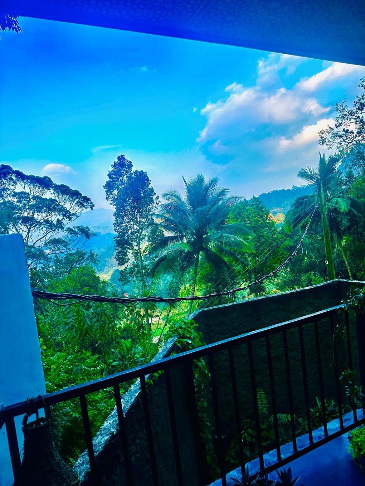 Shining Green View Ella Room photo